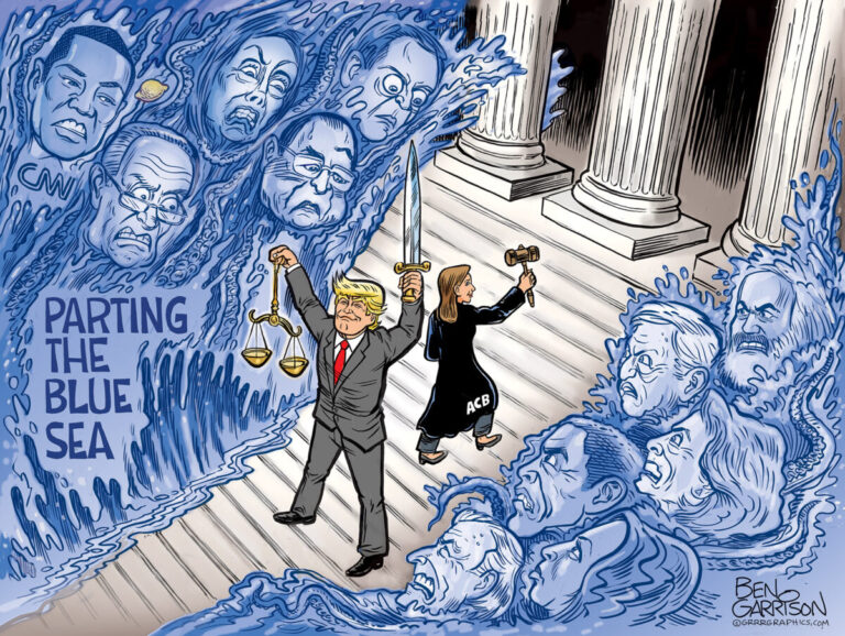 Will Justice Amy Star in 'The Five'?