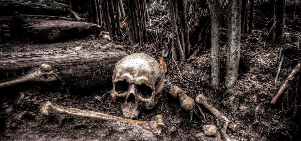 Our Real Existential Crisis -- Extinction